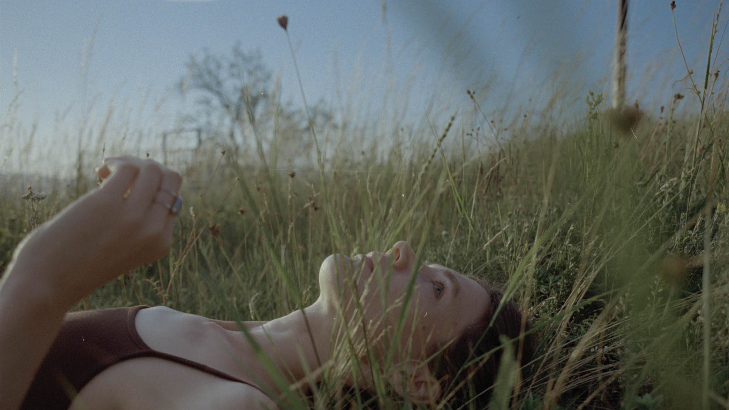 Page background image